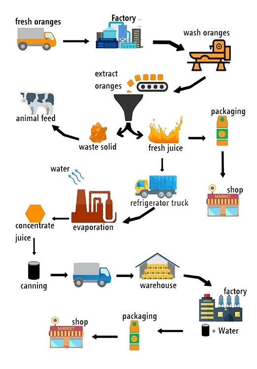 The Diagram Below Show How Orange Juice Is Produced English