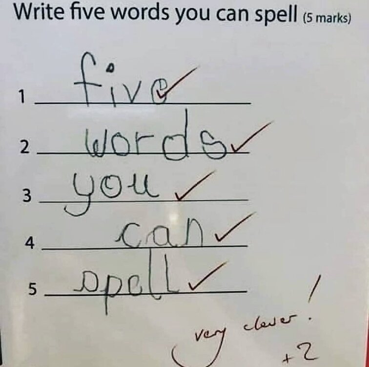 write-five-words-you-can-spell-english-vocabulary-grammar-and-idioms