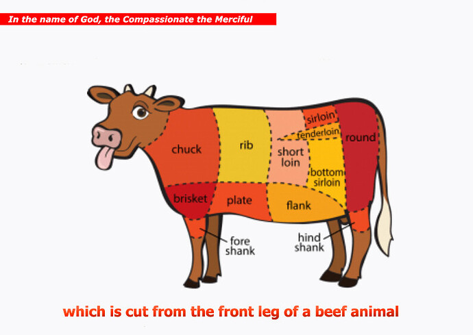 which is cut from the front leg of a beef animal