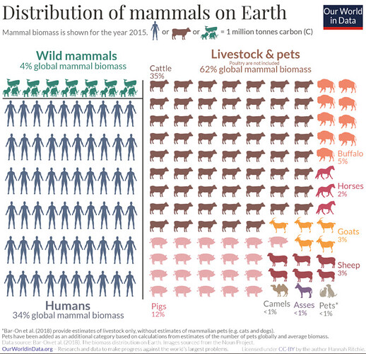 distribution_of_mammals